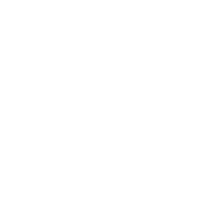 Scam Fight Club